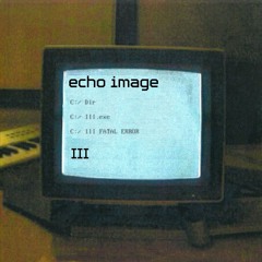 Echo Image - Messing With Love