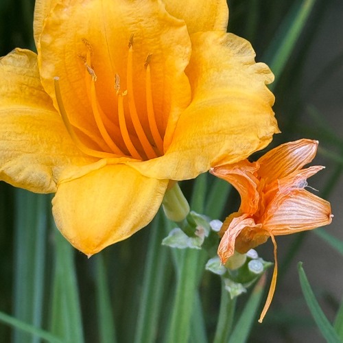 LLEAVEITALONE   (PROD.DoIKnowThem)