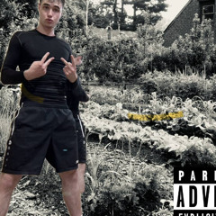 ГРЯДКИ FLOW