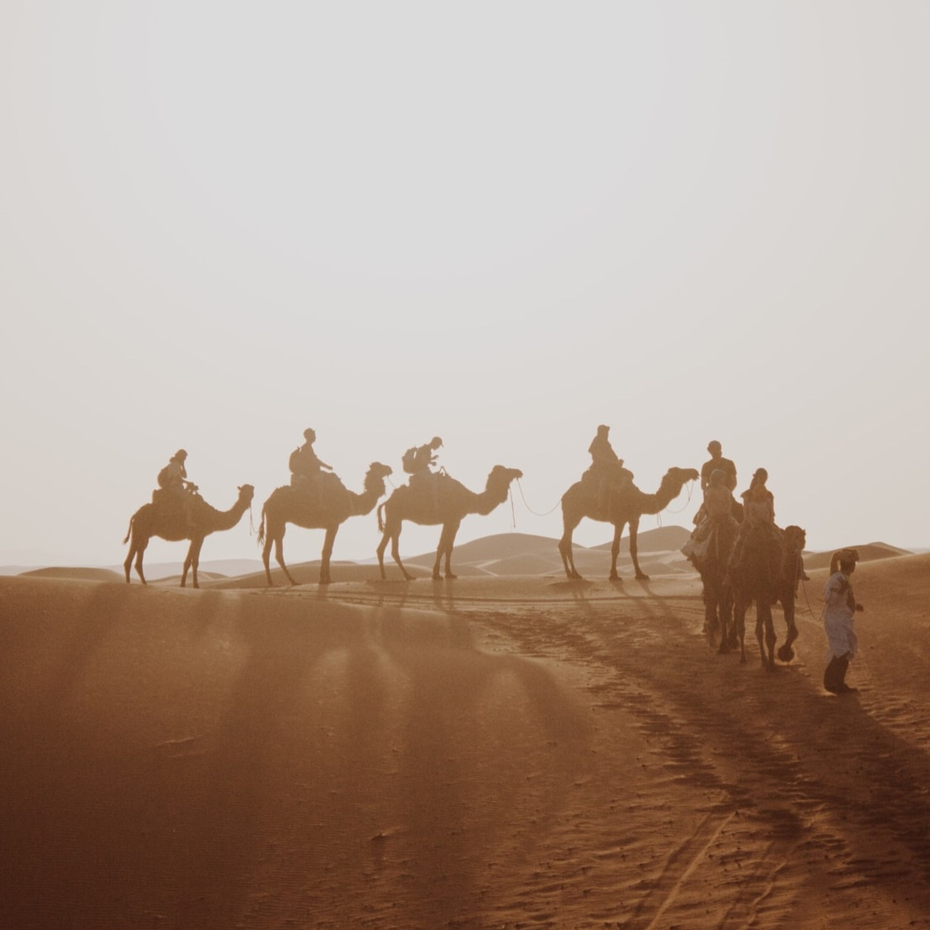 Al-Maqasid