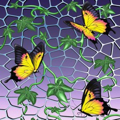 Brunswick Street In July