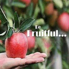 Be Fruitful – April 28, 2024