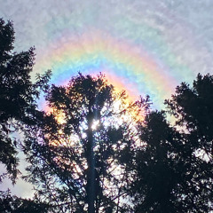 Ripple - tech house mix 06