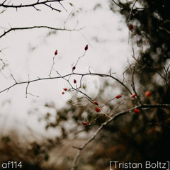 AF114 Tristan Boltz