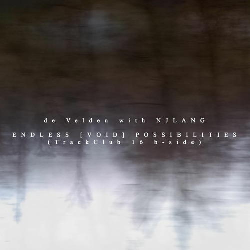 Endless VOID Possibilities - de Velden with Njlang