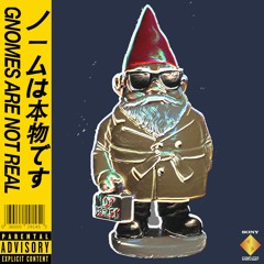 GNOMES ARE NOT REAL (ElliottDotMP3 Remix)