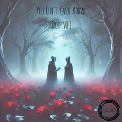 You Don't Even Know (Riot x Slander x Nelio VIP)