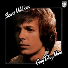 Scott Walker - Ain't No Sunshine
