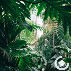 Clapped | Welcome to the jungle (Dj-Set)