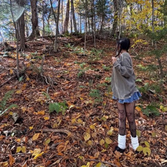 autumn