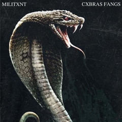 CXBRAS FANGS