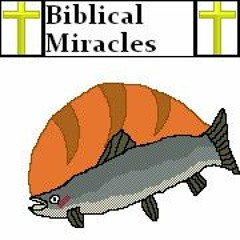 Biblical Miracles: Jesus Christ (E1P3)