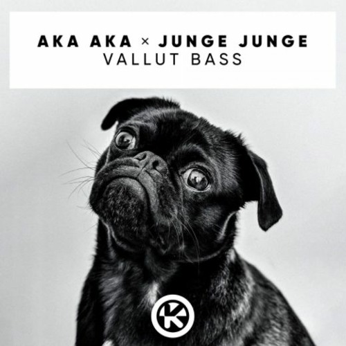 Junge Junge & AKA AKA - Vallut Bass (Original Mix) Master