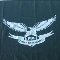 -KU PUJA PUJA BOXING-#PBL -Pemuda Binjai Langkat-(LEO PANDIA FROMM)#fyp