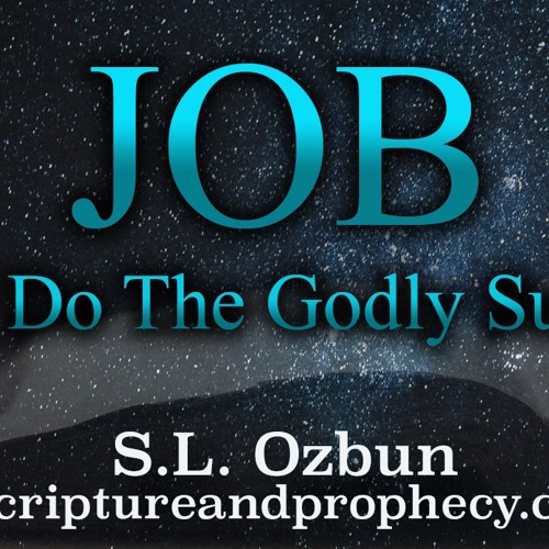 The Book of Job Chapter 8-10: He destroyeth the perfect and the wicked