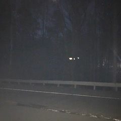 Hopeless People: The End Of Silence