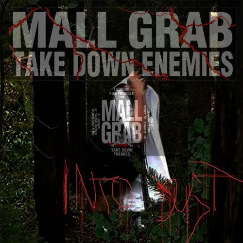 TAKE DOWN ENEMIES Into dust - Mall Grab Ft. Bladee (TTRRAACCAA mashup)