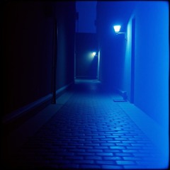 switches_shadows