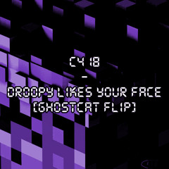 Droopy Liikes Your Face (Flip) [Slowed]