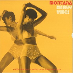 TSPH1400TLP / Montana – Heavy Vibes (3x12")