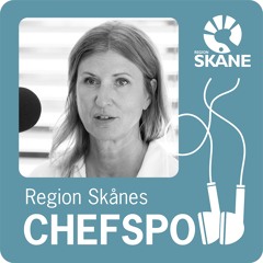 Trafikdirektör Maria Nyman – en rutinerad chef som bygger starka team