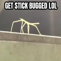 Get Stick Bugged LOL