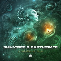ShivaTree & Earthspace - Universe of Acid (Original Mix)