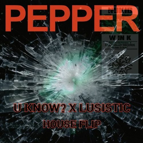 WINK x Skrillex - NUKID (LIGHTYEAR EDIT) vs. Pepper [U Know? X illio House Flip]