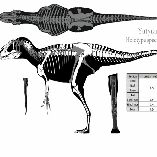Yutyrannus Egg