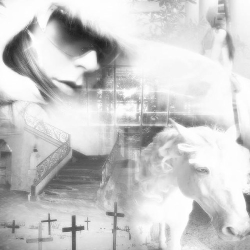 HEADS WILL ROLL (neet.ro flip)