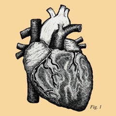 Cinema Ártico - Latido