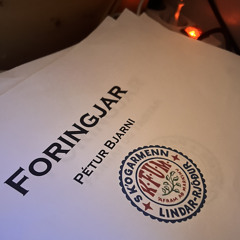 PÉTUR BJARNI - KRUMMI