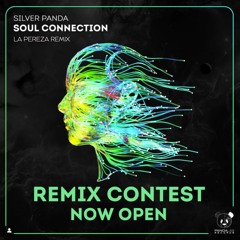 SOUL CONNECTION (LA PEREZA REMIX - RADIO EDIT)