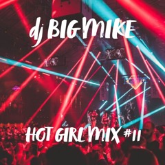 Subtronics, Knock2, ISOxo, Tape B, LSDREAM┃HOT GIRL MIX #11 (DJ BIG MIKE)