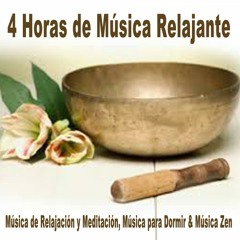 La Fuente Mágica