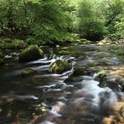 Clear and Gentle Stream by Robert Bridges