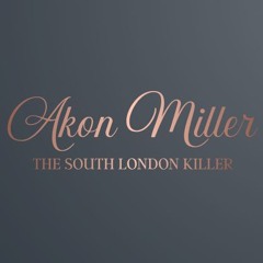 JAY-Z - I Just Wanna Love U (Give It 2 Me) - Akon Miller Remix