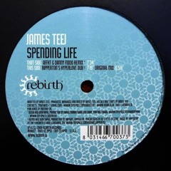 James Teej - Spending Life (Ripperton's Hyperlove Dub)