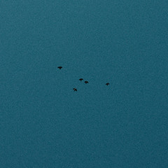Blues