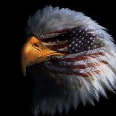 Mix 2  a fresh journey curated by Manuel Gomez