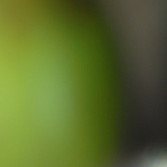 selected ambient work 2304-0412