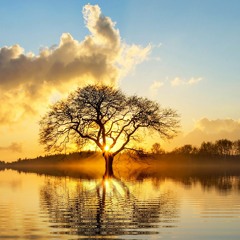 Deep Healing Journey [FruityAlfred Records]