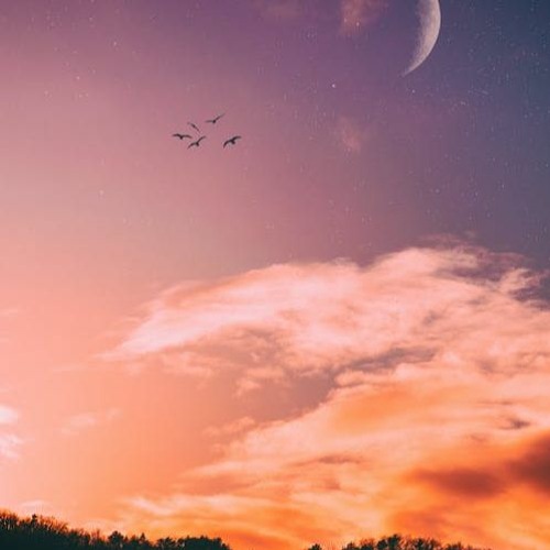Stream Nowhere To Run Tiktok Song Slowed Looped By Mr No Name Listen Online For Free On Soundcloud Stream Nowhere To Run Tiktok Song Slowed Looped By Mr No Name Listen Online For Free On Soundcloud