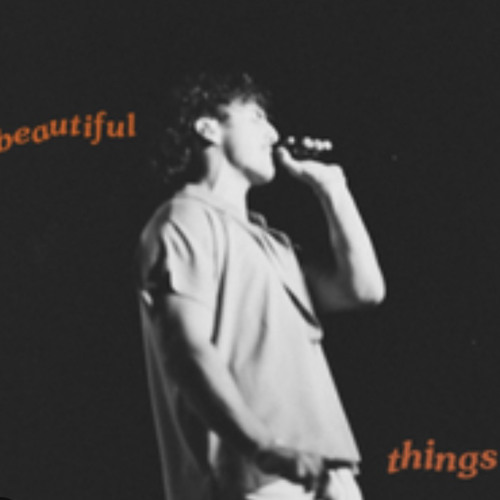 Beautiful Things - Benson Boone (EchoEvolution Mashup)