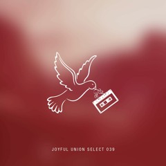 Joyful Union Select 039