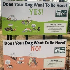 dj ynk da dz9 set no @luntyversario