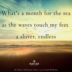 Waves Touching My Feet (naviarhaiku528)