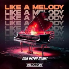 Wildcrow - Like A Melody (Dan Bergh Remix)