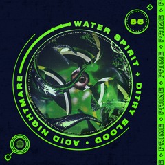 Water Spirit + Dirty Blood - ACID NIGHTMARE