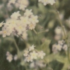 Just me and these ghosts in the room